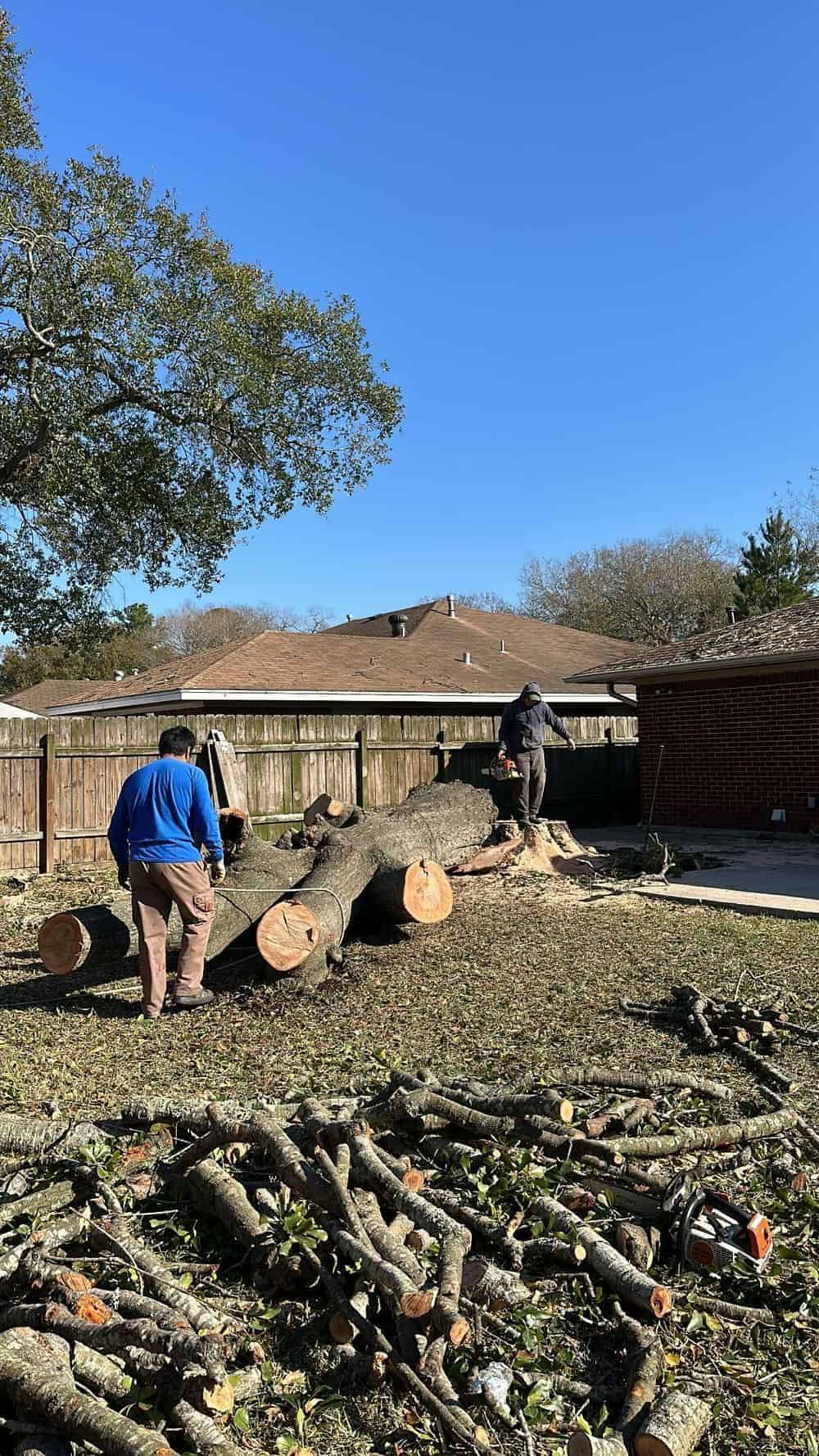 Storm Tree Service image