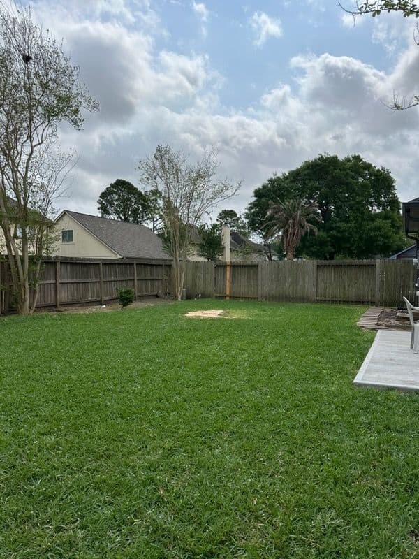 Gallery photos for Tree Removal in Sugar Land: Image #2