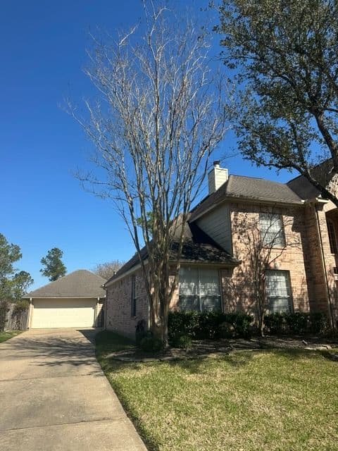 Gallery photos for Expert Tree Trimming Services in Clear Lake City: Image #1