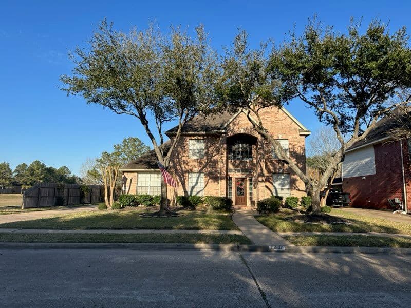 Gallery photos for Expert Tree Trimming Services in Clear Lake City: Image #3