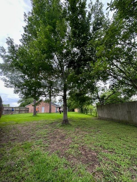 Gallery photos for Tree Trimming Transformation in Friendswood TX: Image #1