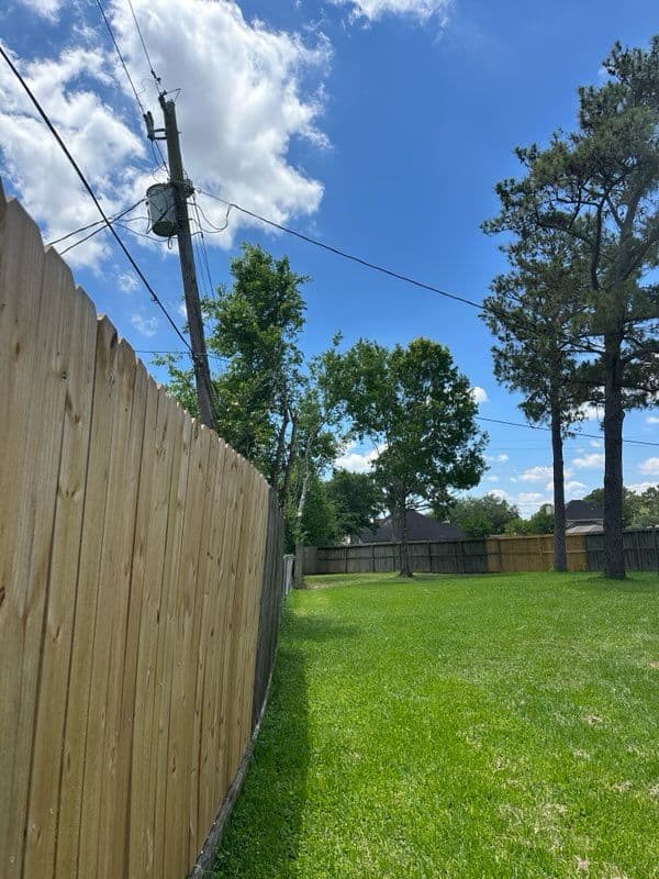 Gallery photos for Transform Your Yard with Professional Tree Care: Image #2