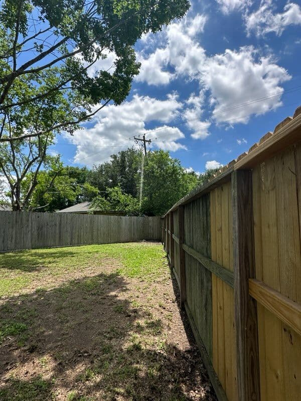 Gallery photos for Transform Your Yard with Professional Tree Care: Image #3