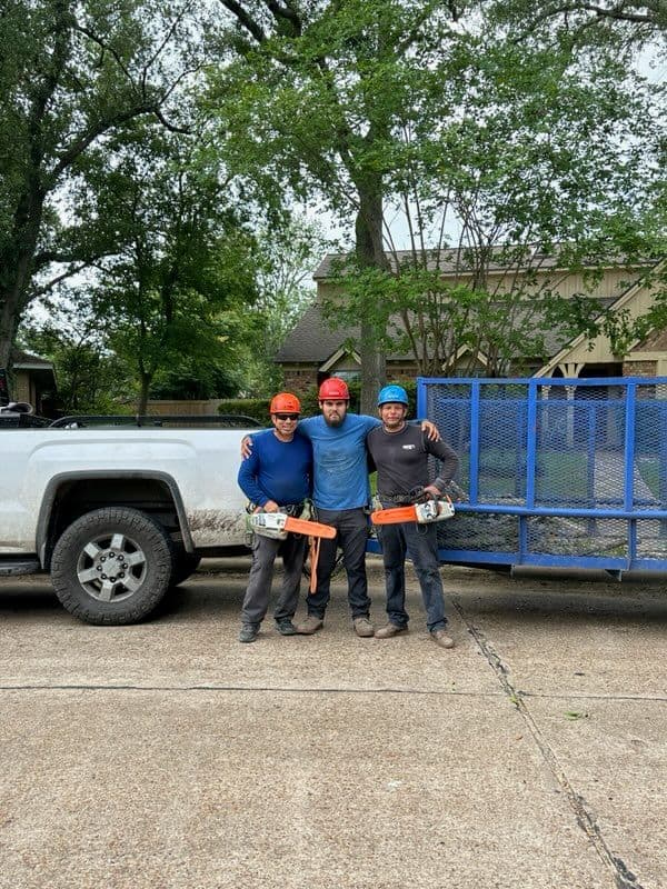 Gallery photos for Expert Tree Trimming in Nassau Bay TX: Image #2
