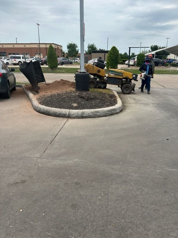 Gallery photos for Expert Commercial Tree Removal in Houston Parking Lot: Image #2
