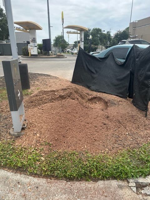 Gallery photos for Expert Commercial Tree Removal in Houston Parking Lot: Image #3
