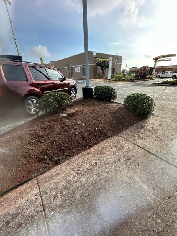 Gallery photos for Efficient Tree Removal Service in Houston TX: Image #3