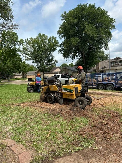 Gallery photos for Efficient Tree Removal Transforms Sugar Land Landscapes: Image #2