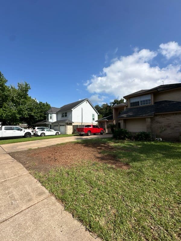 Gallery photos for Efficient Tree Removal Transforms Sugar Land Landscapes: Image #3