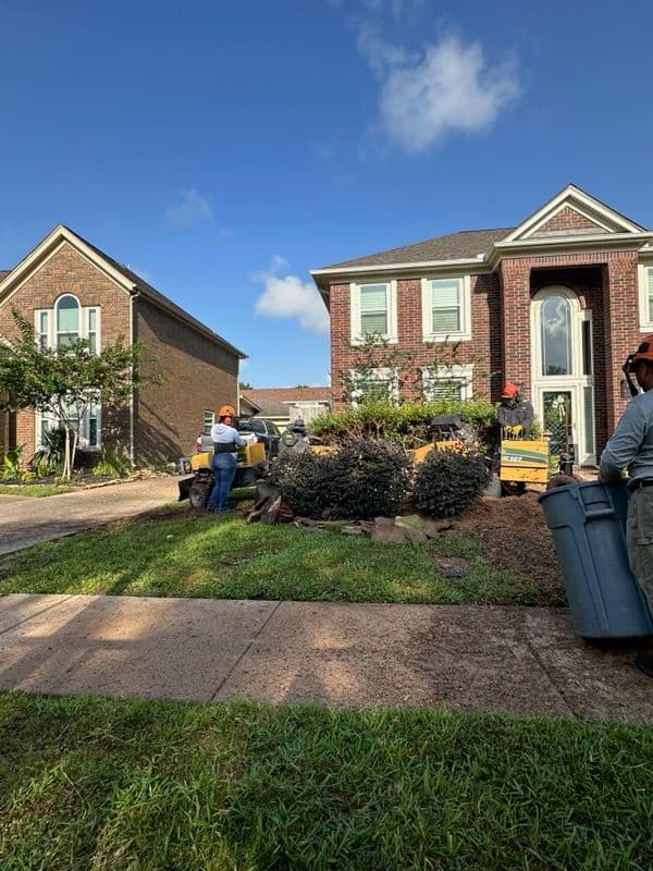 Gallery photos for Expert Tree Removal and Cleanup in Deer Park TX: Image #2