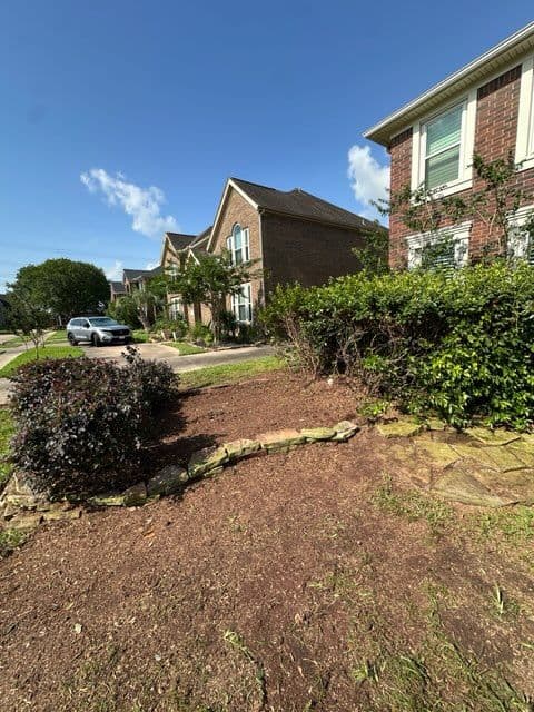 Gallery photos for Expert Tree Removal and Cleanup in Deer Park TX: Image #3
